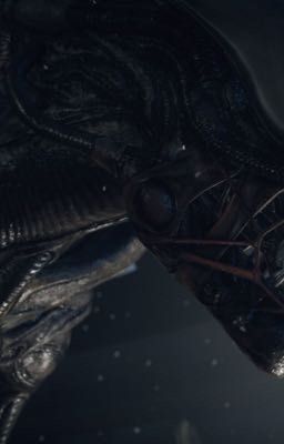 The Friendly Xenomorph 