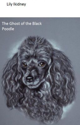 The Ghost of the Black Poodle