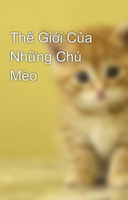 Thế Giới Của Những Chú Mèo