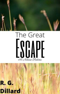 The Great Escape- A Nature Sestina