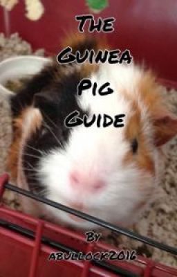 The Guinea Pig Guide