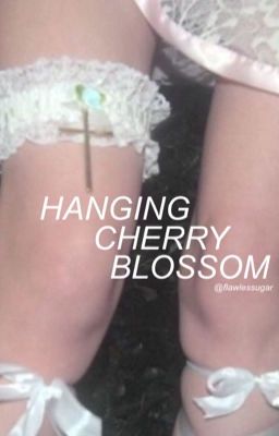 ❝the hanging cherry blossom❞ + nomin 