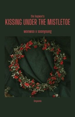 [the hogwarts | wonsoon]: kissing under the mistletoe