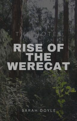 The Hotel: Rise of the Werecat