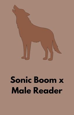 The Howler! (Sonic Boom x Male Reader)