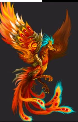 The Immortal Hero: Phoenix