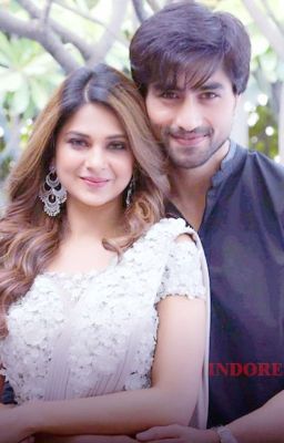 The Jenshad Diaries