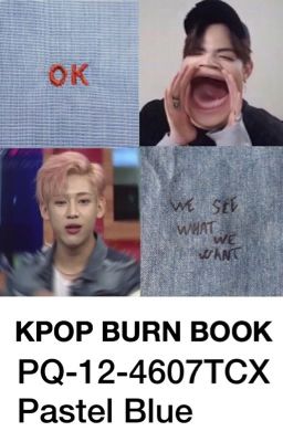 the kpop burn book