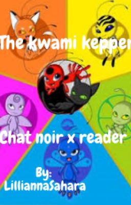 The Kwami keeper (chat noir x reader) slow updates