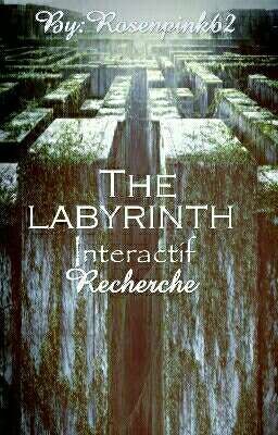 The Labyrinth ⚪Livre Interactif⚪