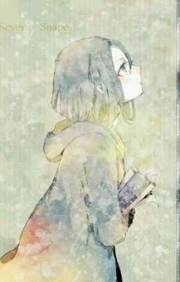 The Lady of Castle Grimm