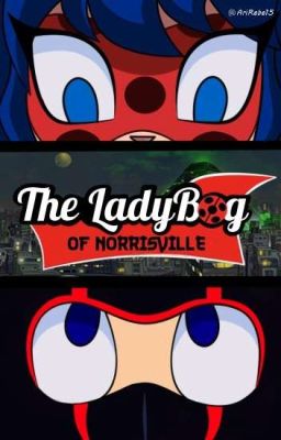 The Ladybug of Norrisville [LadybugxRC9GN]