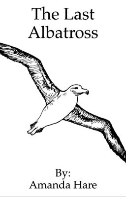 The Last Albatross