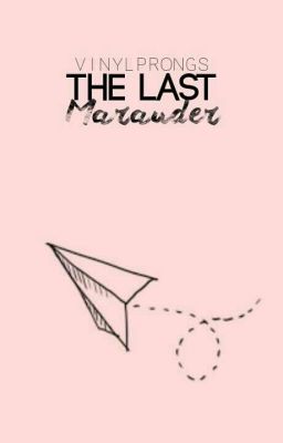 「 THE LAST MARAUDER [✓] 」