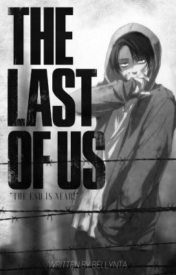 The Last Of Us [Levi x Reader]