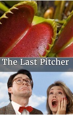 The Last Pitcher