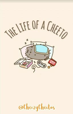 The Life of a Cheeto