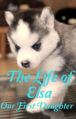 The Life of Elsa (Our First Daughter)