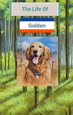 The Life Of Golden