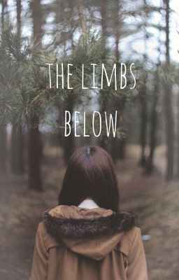 The limbs below 