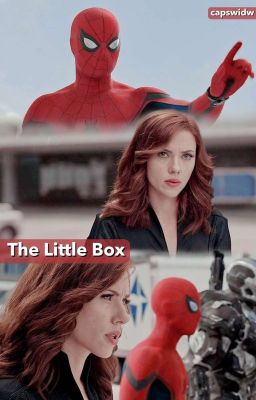 The Little Box