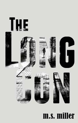 The Long Con