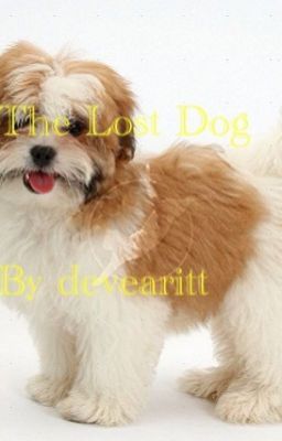 The Lost Dog