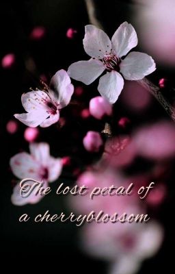 The lost petal of a Cherry Blossom 