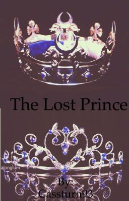 The lost prince 🤴 