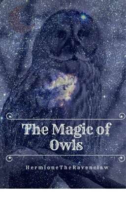 The Magic of Owls 