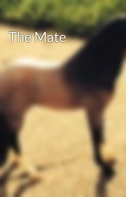 The Mate