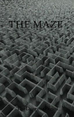 The Maze