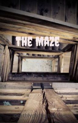 The Maze
