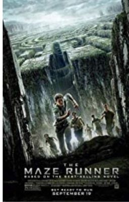 The Maze Runner