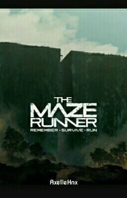 The Maze Runner