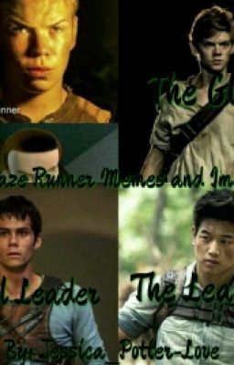 The Maze Runner Memes And Imagines