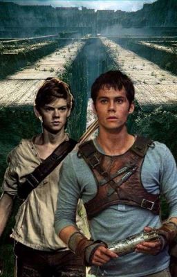 The Maze Runner | Verirrt in der Liebe | Newtmas