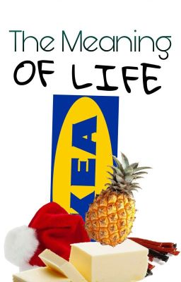 The Meaning of Life [A Nordic 5 CrackFic]