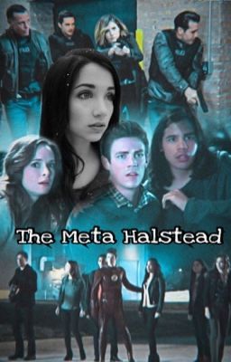 The Meta Halstead. 