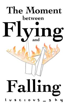 The Moment Between Flying and Falling