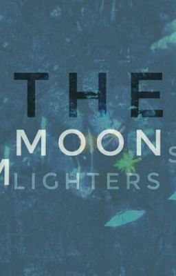 The Moon Lighters