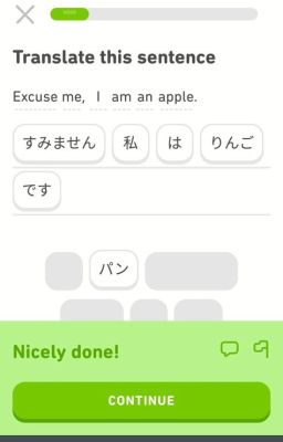 The Most Random sentences I found On Duolingo That Make No Sense