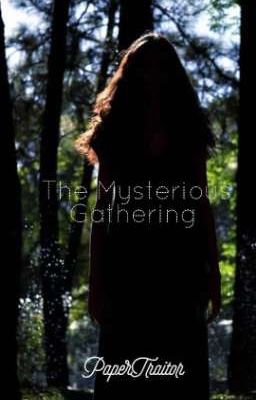 The Mysterious Gathering (Book I)