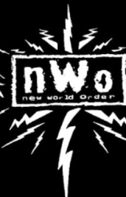 The New Era of The NWO (WWE Girls x OCs)