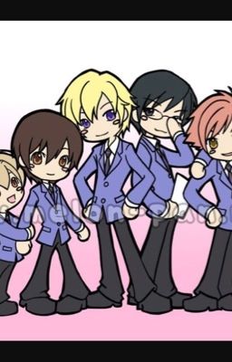 The new girl at Ouran