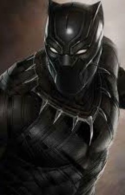 The next Black Panther