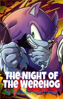 The Night Of The Werehog (One-Shot)