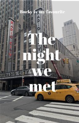 The Night We Met