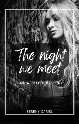 The Night We Met