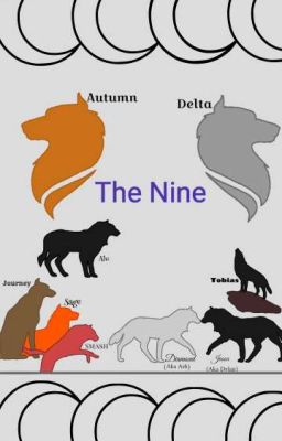 The Nine